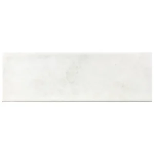 Abalone - Fun White Subway Tile